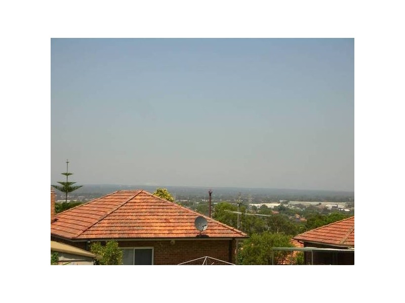 Mount Lewis NSW 2190