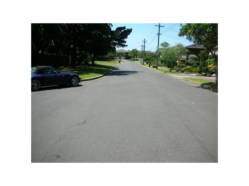 Mount Lewis NSW 2190
