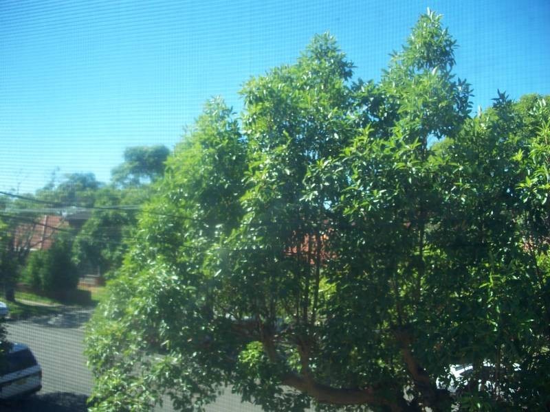 5/75 Knox Street, Belmore NSW 2192