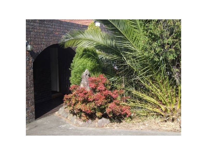 2 Acacia Street, Belmore NSW 2192