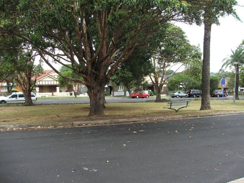 99 Dennis Street, Lakemba NSW 2195