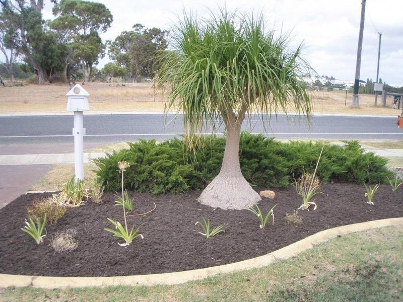 107 Duffy Terrace, Woodvale WA 6026