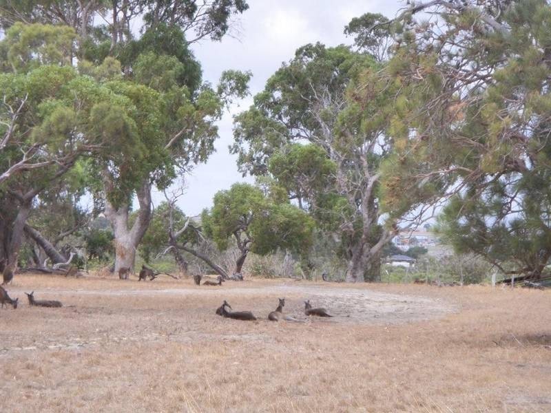 107 Duffy Terrace, Woodvale WA 6026