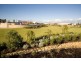 61 Palmerston Cr, Tapping WA 6065