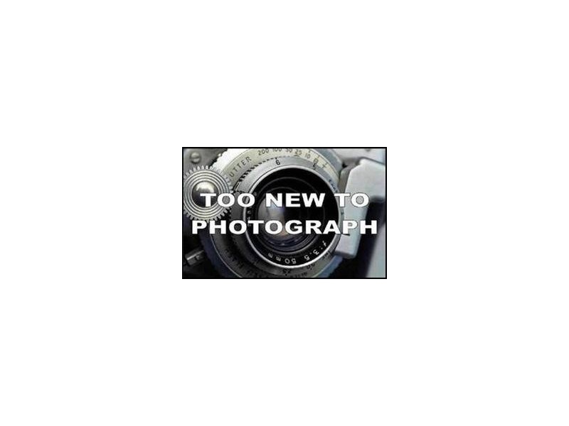 20 Ardea Way, Tapping WA 6065