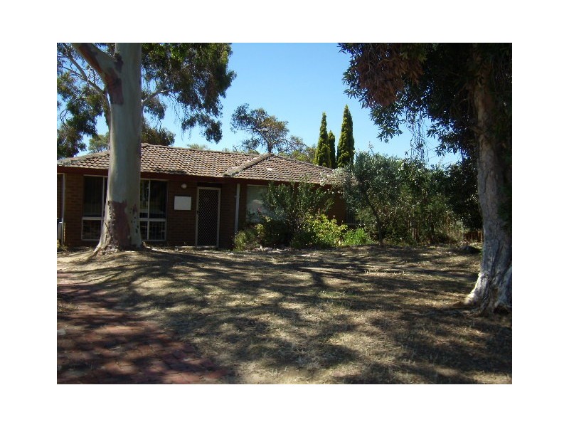 11 Mundi Place, Wanneroo WA 6065