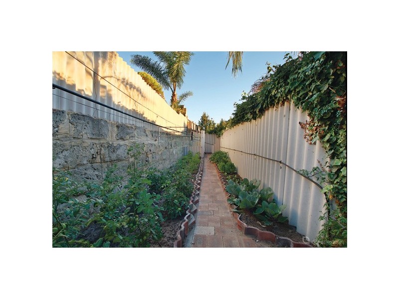 31 Tresise Street, Carine WA 6020