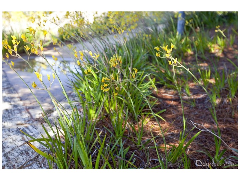 57 Lot 3, 4 5 & 6 Ponte Vecchio Boulevard, Ellenbrook WA 6069