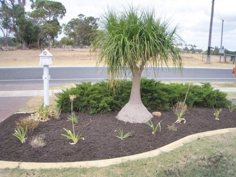 107 Duffy Terrace, Woodvale WA 6026