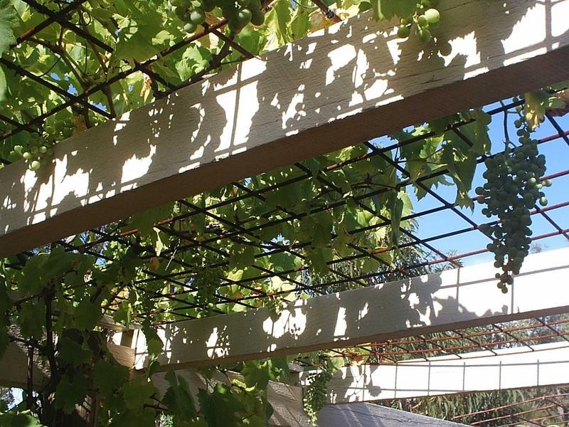 Lot 147, 332 Powderbark Road, Lower Chittering WA 6084