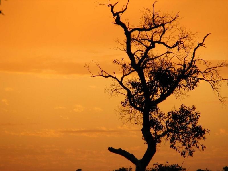 Lot 147, 332 Powderbark Road, Lower Chittering WA 6084