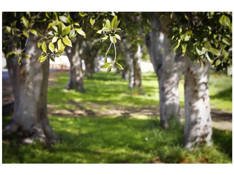 Lot 501, 2 Skeit Road, Darch WA 6065