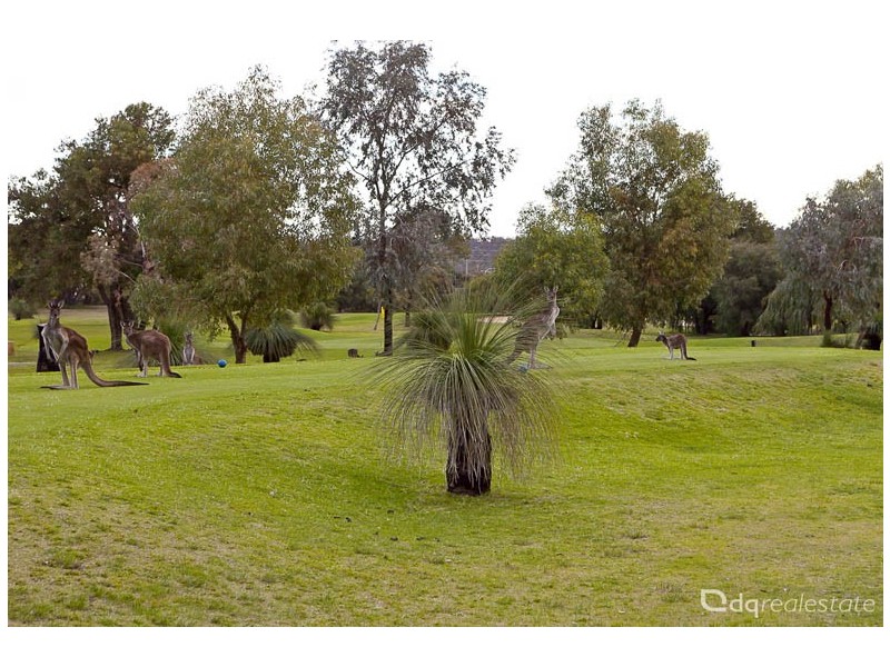 223 Golf Links Drive, Carramar WA 6031