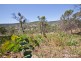 10 Rowley Street, Kelmscott WA 6111