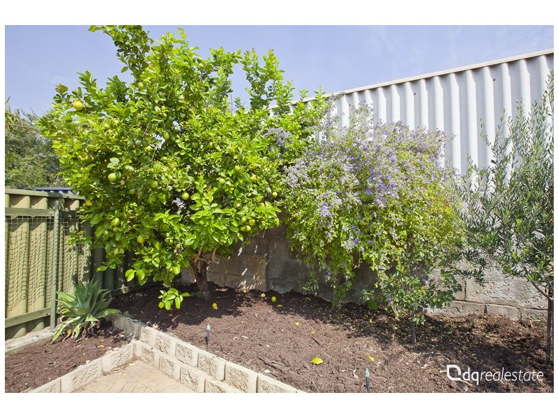 30 Goldfinch Loop, Woodvale WA 6026