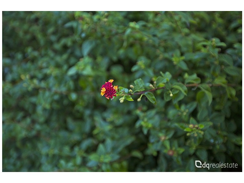 37 Sanderson Street, Embleton WA 6062