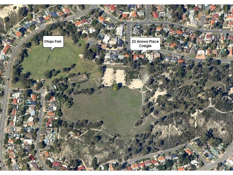 23 Arawa Place, Craigie WA 6025