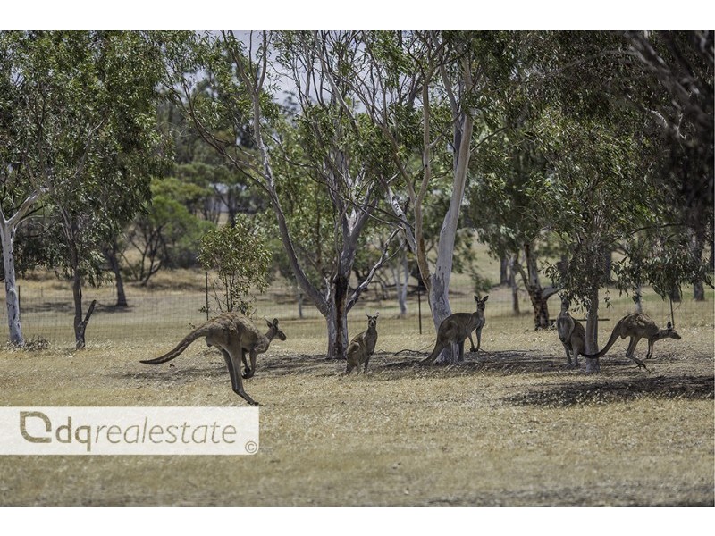 659 Spencers Brook Road, Muluckine WA 6401