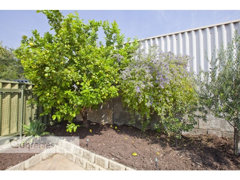 30 Goldfinch Loop, Woodvale WA 6026