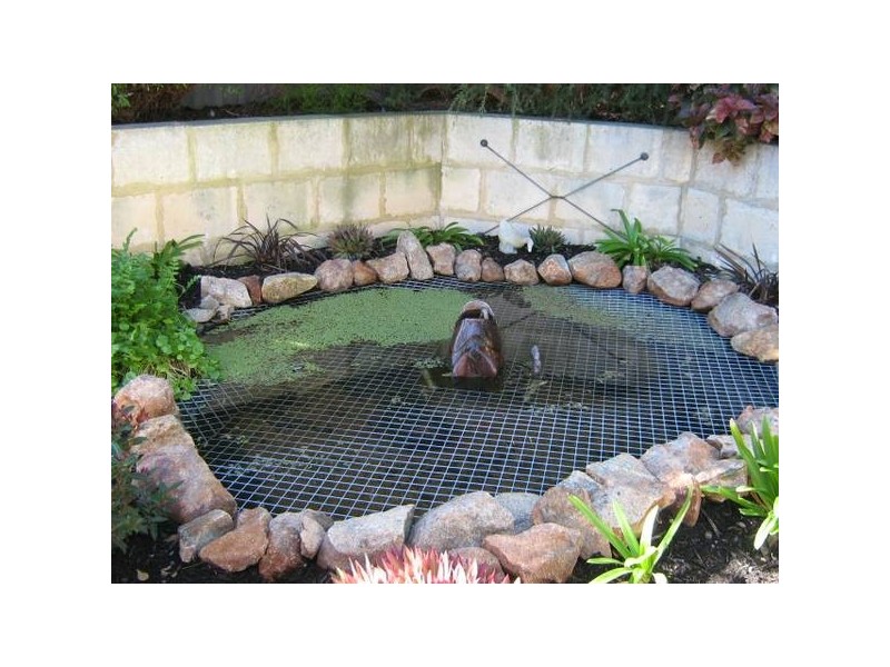 10 Tanning way, Woodvale WA 6026