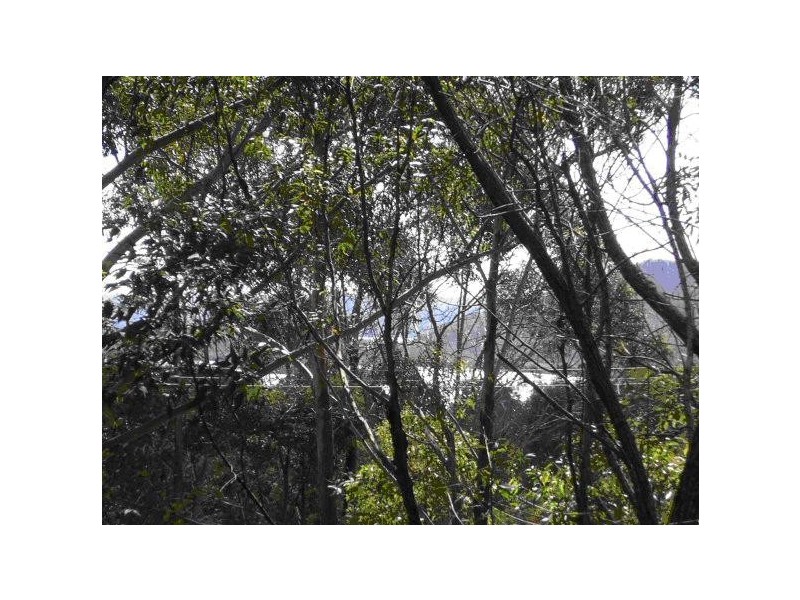 101 Oxley Street, Russell Island QLD 4184