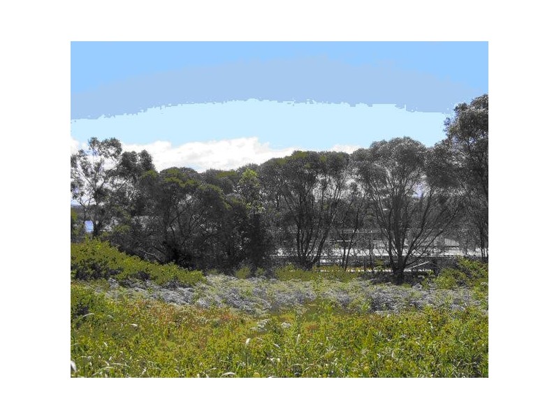 57 Camellia Street, Russell Island QLD 4184