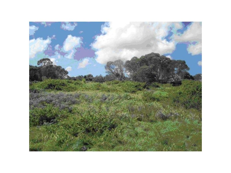 57 Camellia Street, Russell Island QLD 4184