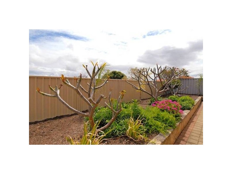 3 Albury Lane, Currambine WA 6028