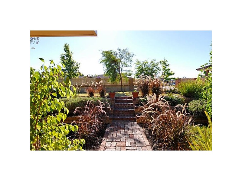 10 Tipuana Place, Edgewater WA 6027