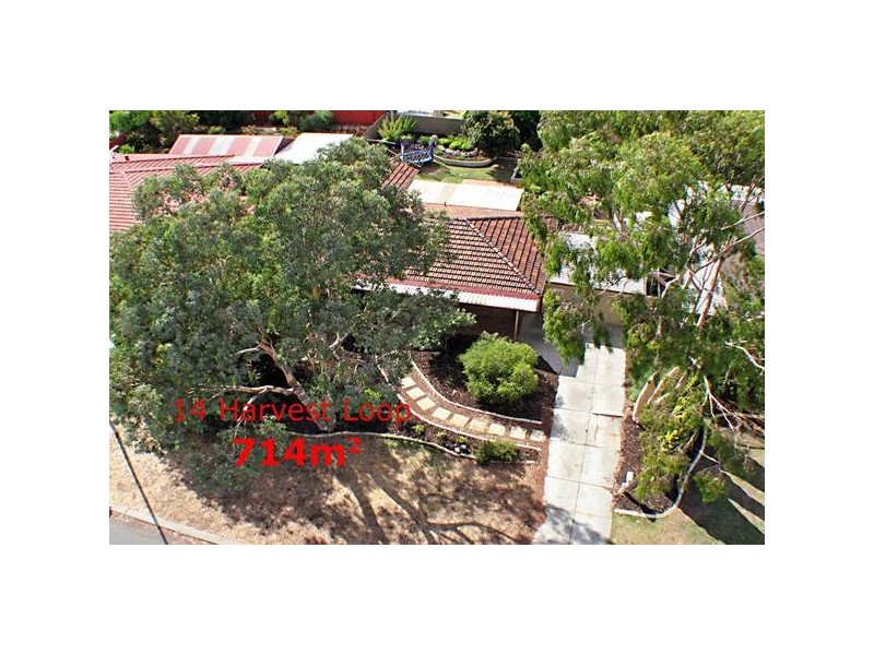 14 Harvest Loop, Edgewater WA 6027