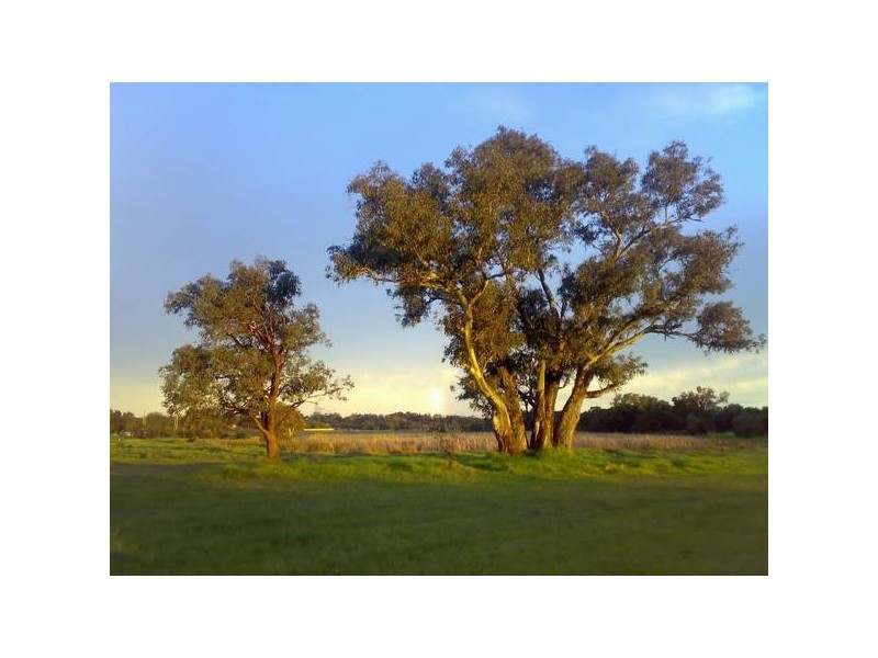 12 Grey-Smith Gardens, Woodvale WA 6026