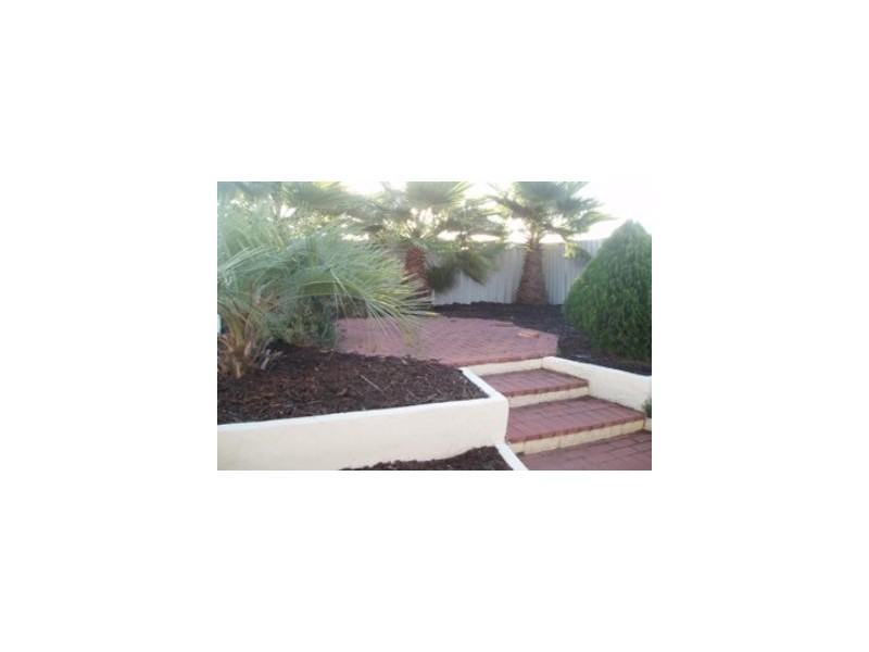 16 Lupin Court, Hocking WA 6065