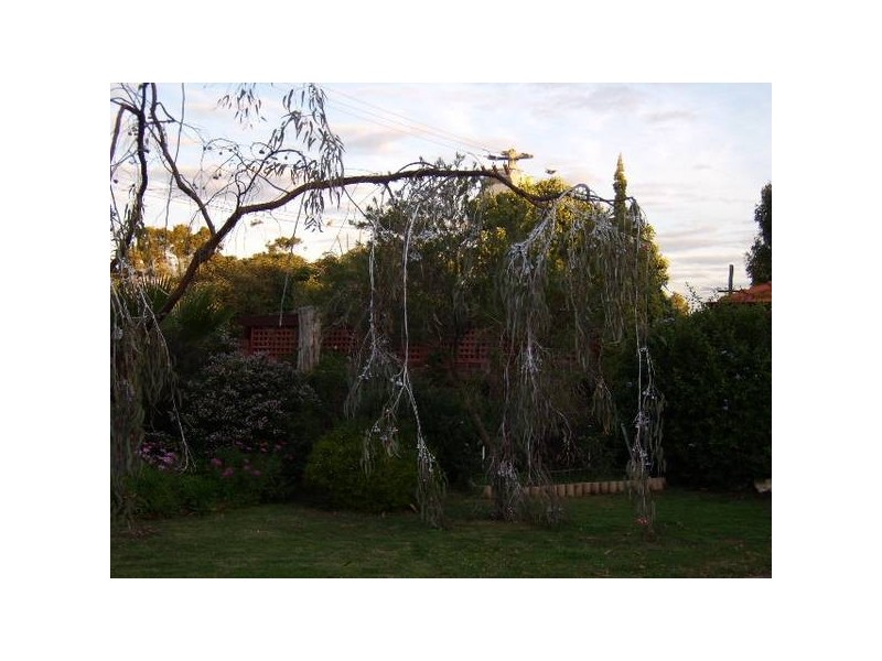 2/20 Dempster Road, Karrinyup WA 6018