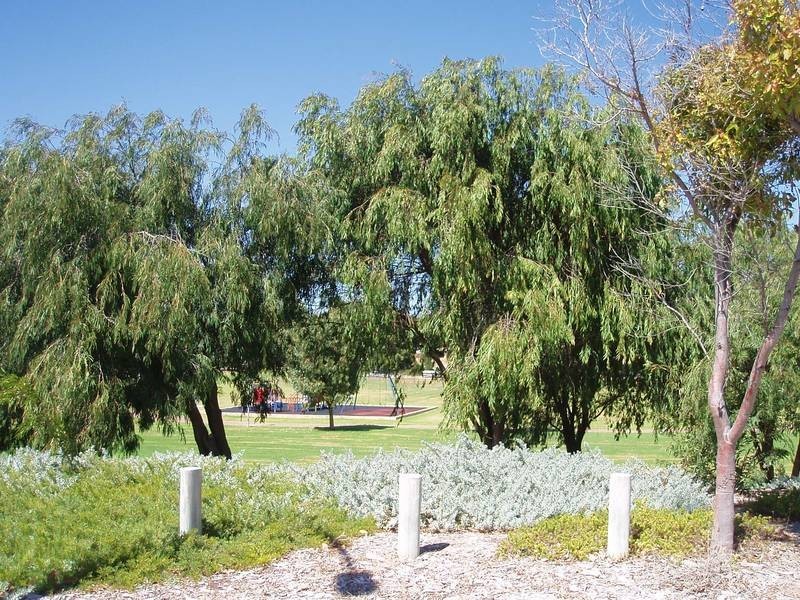 4 Heppell Gardens, Clarkson WA 6030