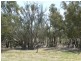 2 Ainsley Court, Echuca VIC 3564