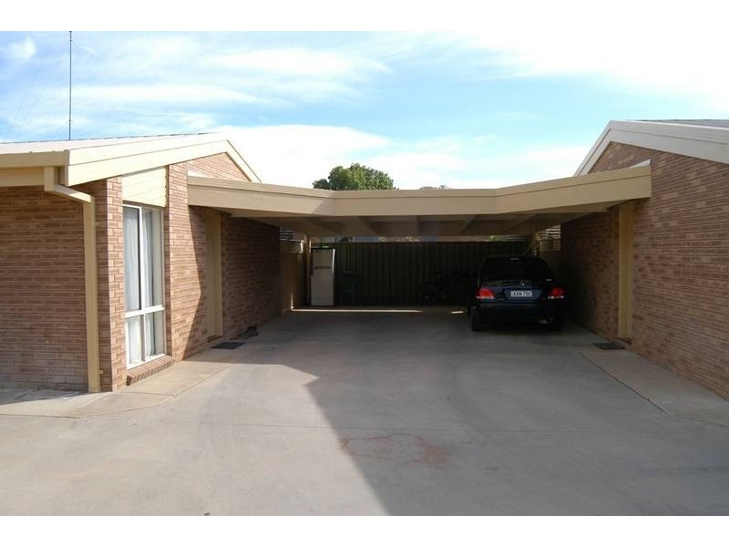 Unit 3/8 Yarrein Street, Barham NSW 2732