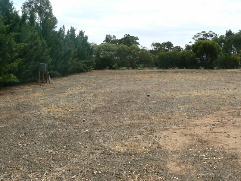 12 Charters Drive, Moama NSW 2731