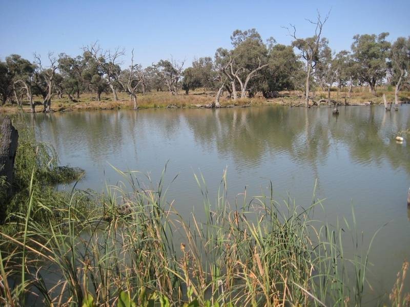 204 Patho School Road, Echuca VIC 3564