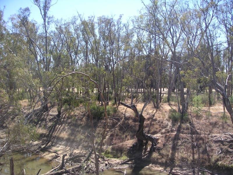 137 Campaspe Esplanade, Echuca VIC 3564