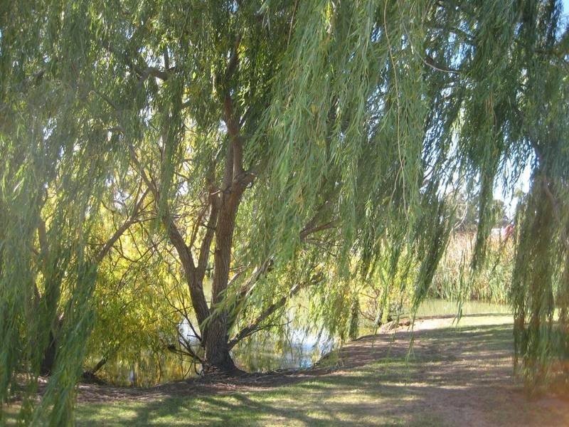 Cnr Cobb Highway & Perricoota Road, Moama NSW 2731