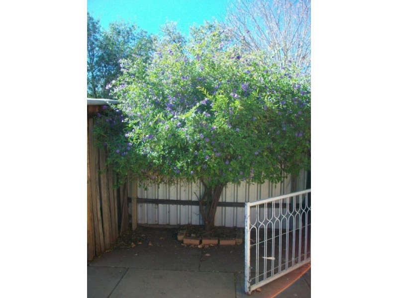 242 Ogilvie Ave, Echuca VIC 3564
