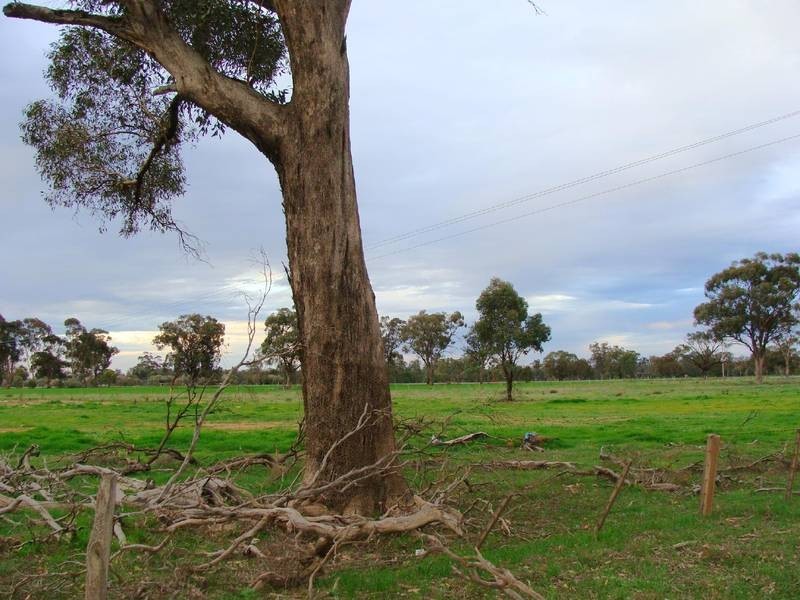 6 Cobb Highway, Echuca VIC 3564