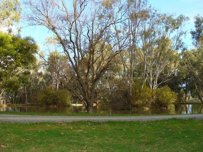 55 Bangerang Road, Echuca VIC 3564