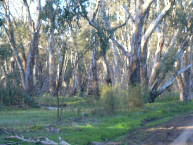 86 Warren Street, Echuca VIC 3564