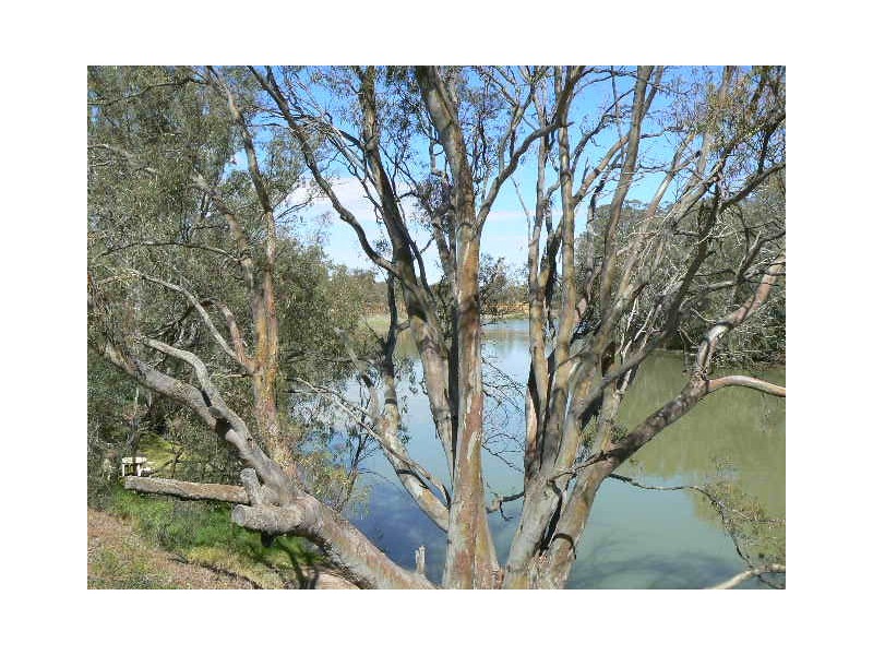 2 River Park Drive, Moama NSW 2731