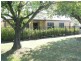 49 Mitchell Street, Echuca VIC 3564