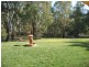 2 Lignum Lane, Echuca VIC 3564