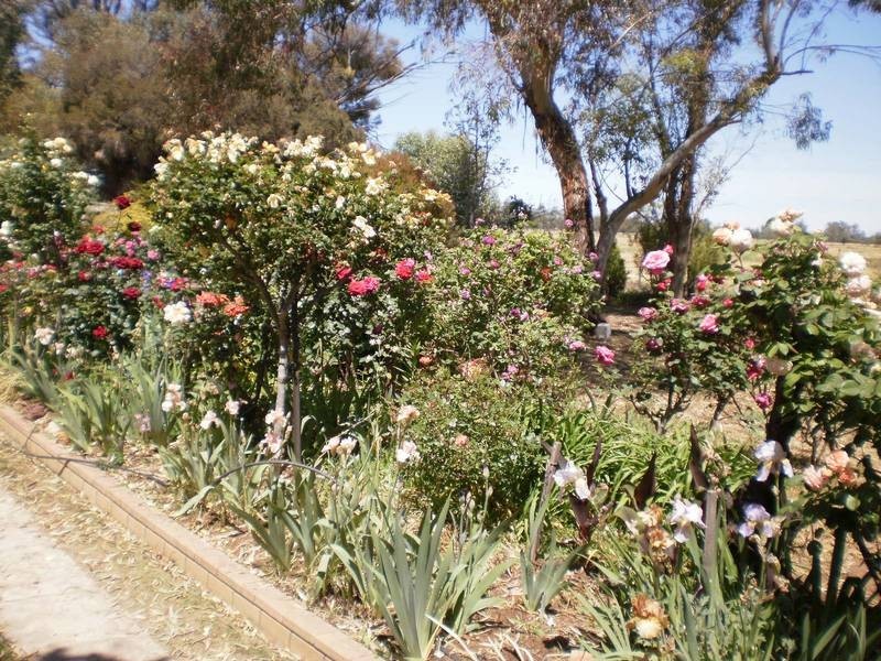 230 Weymouths Road, Cohuna VIC 3568