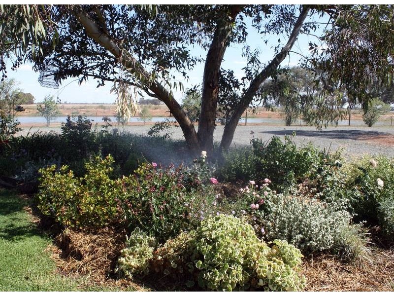 1581 Echuca-Nanneella Road, Echuca VIC 3564