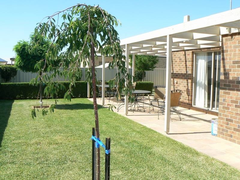 36 Shetland Drive, Moama NSW 2731